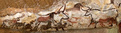 The Cave Paintings of Lascaux: Field Museum