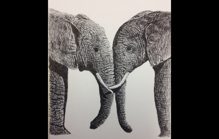 Elephant love