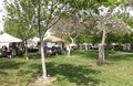 Art at the Market Brings Gorgeous Work to a Beautiful Day