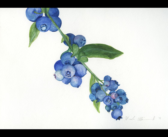 Spring Painting Art Contest