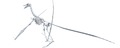 Time Warp: Animation For Educational Growth