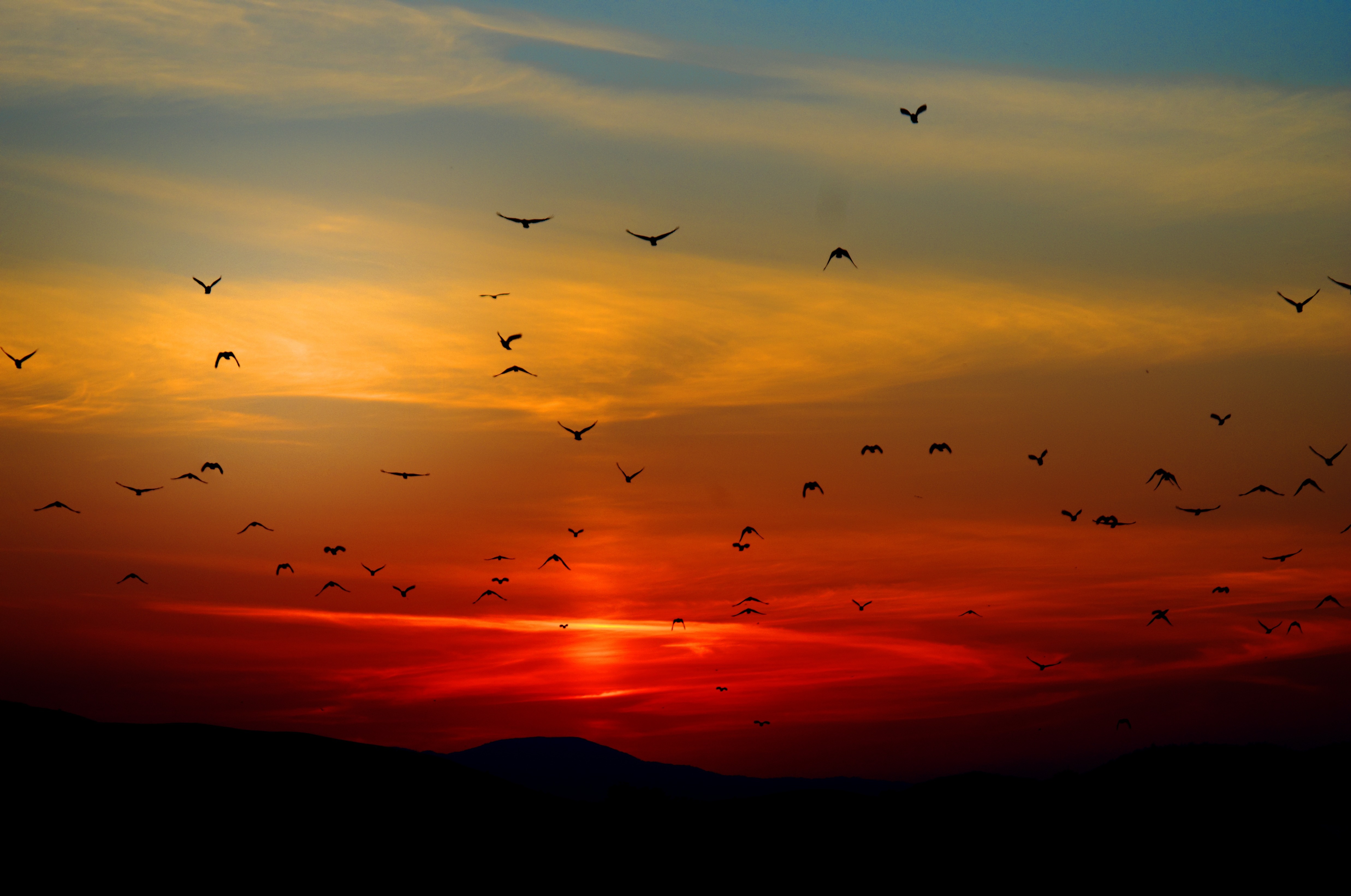 nature photography five easy