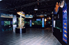 user sample image