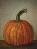 user sample image