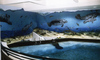 user sample image