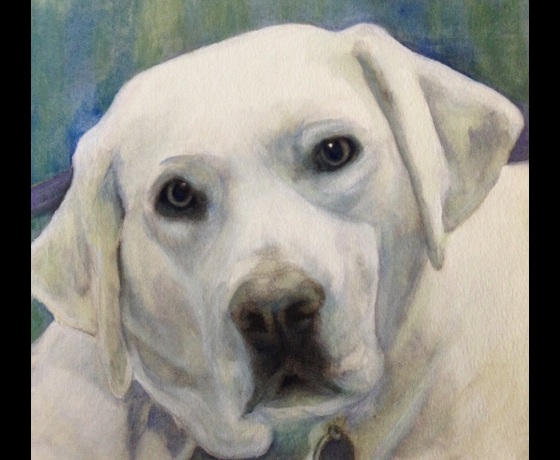 #AnyArtContest