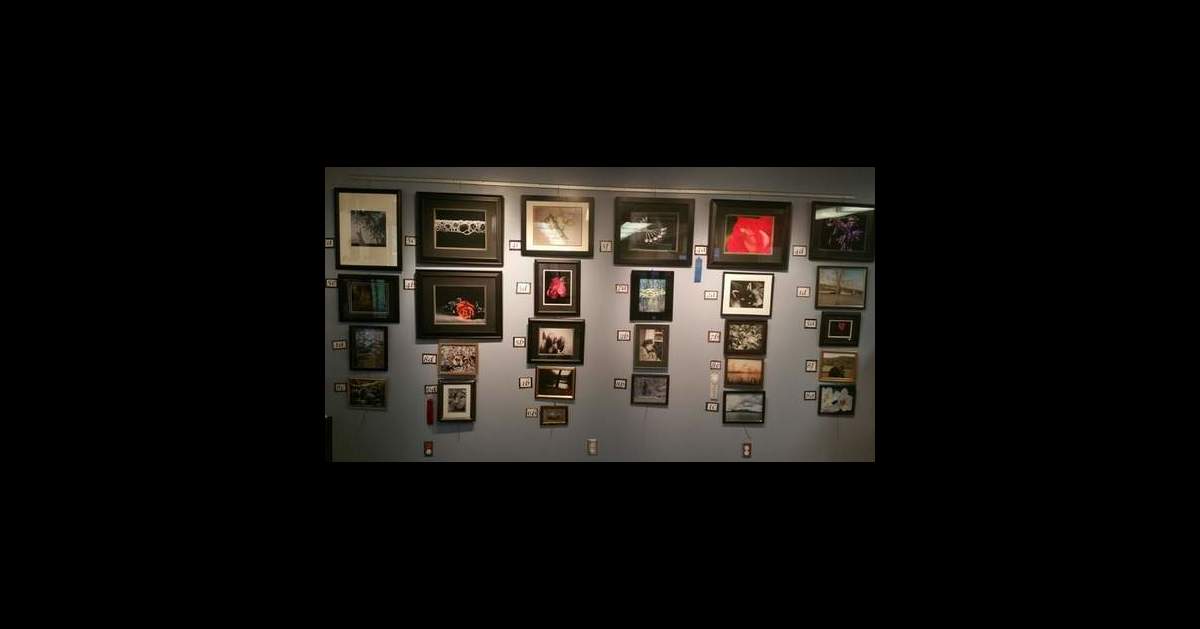 Thalo Shared Articles View 21788