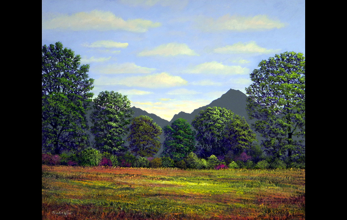 Spring Meadow at Sutter Buttes