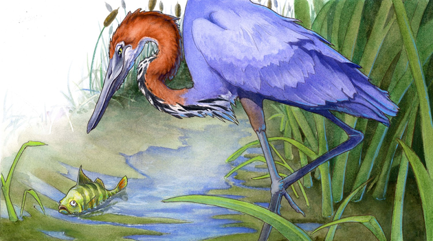 The Heron, watercolor, pen, ink, 10x16”