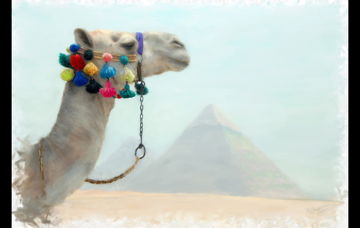 Camel at Giza