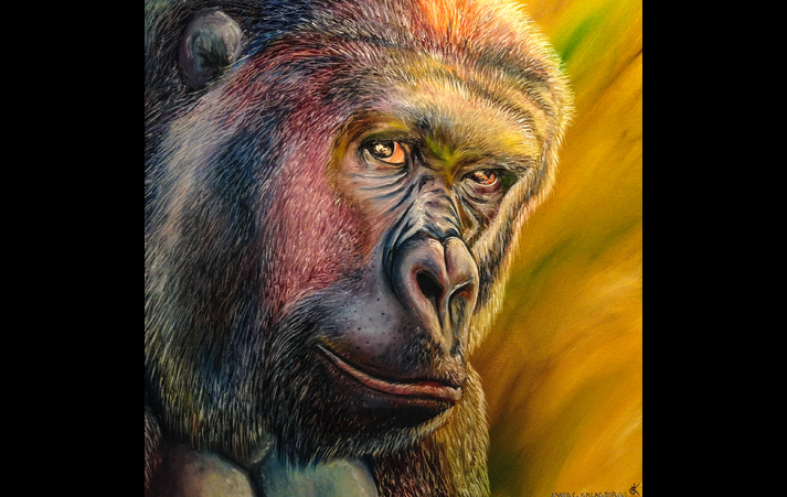 Harambe