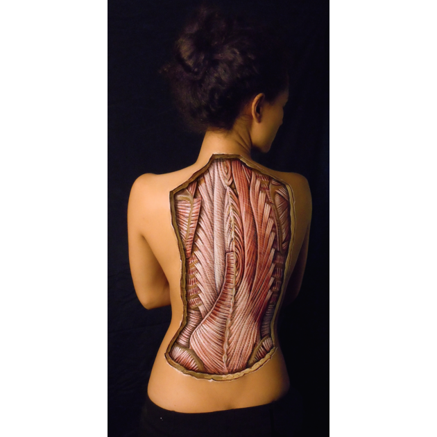 womans anatomical back 