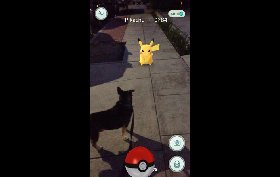Shiny Pikachu já pode ser encontrado no mundo inteiro em Pokémon GO  [Mobile] – NintendoBoy