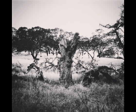 B&W Photo Contest