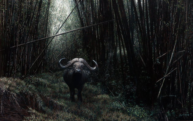 'The Misanthrope' - 48 x 30 - Oil on canvas - cape buffalo in bamboo forest
