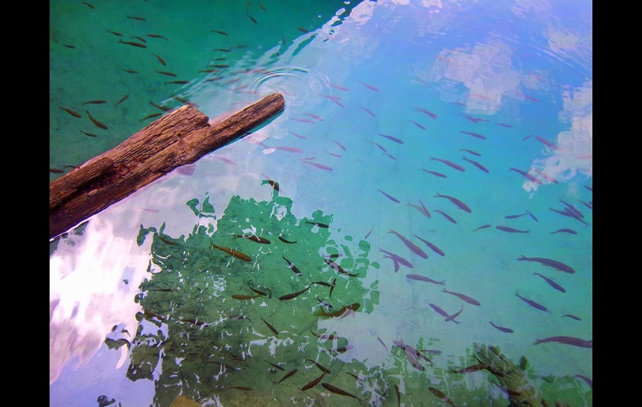 Reflections in the Jiuzhaigou River